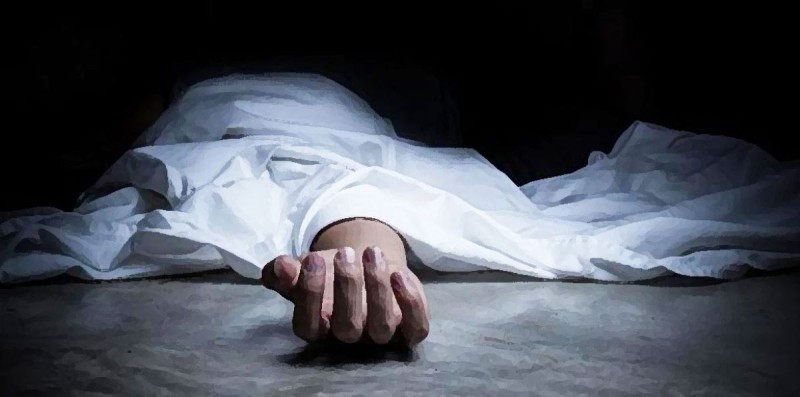 जंगली हात्तीको आक्रमणबाट झापामा एक जनाको मृत्यु
